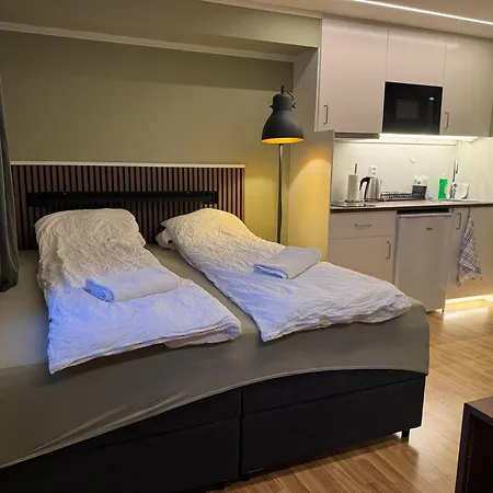 Smart Mini With Kitchen